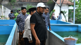 FOTO: Bupati Sumenep, Achmad Fauzi Wongsojudo, saat meninjau budi daya ikan lele dan peternakan ayam petelur milik kelompok masyarakat di Desa Bataal Timur, @by_News9.id