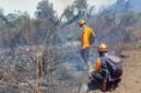 FOTO: Petugas masih melakukan penanganan secara manual menggunakan gepyok dan semprotan air. @by_News9.id