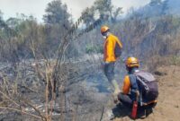 FOTO: Petugas masih melakukan penanganan secara manual menggunakan gepyok dan semprotan air. @by_News9.id