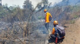 FOTO: Petugas masih melakukan penanganan secara manual menggunakan gepyok dan semprotan air. @by_News9.id