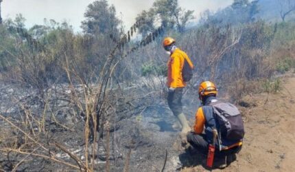 Masyarakat Desa Ranupane Untuk Tetap Waspada Terhadap Perkembangan Karhutla
