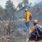 FOTO: Petugas masih melakukan penanganan secara manual menggunakan gepyok dan semprotan air. @by_News9.id