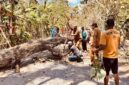 FOTO: Camat Arjasa, Subiyakto, bersama warga memindahkan pohon. @by_News9.id