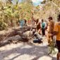 FOTO: Camat Arjasa, Subiyakto, bersama warga memindahkan pohon. @by_News9.id