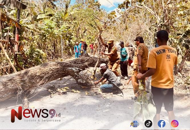 FOTO: Camat Arjasa, Subiyakto, bersama warga memindahkan pohon. @by_News9.id