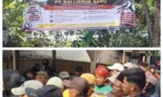 3 Desa Petani di Randuagung Somasi PT Kalijeruk Baru, Ancam Duduki Lahan dan Tanam Pohon Pisang