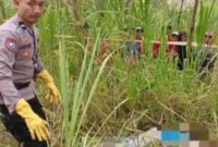 FOTO: Polsek Sumber bersama Pamapta dan Tim Satreskrim Polres Probolinggo melakukan pemeriksaan tempat kejadian perkara. @by_News9.id