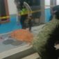 FOTO: Korban pembunuhan oleh orang tak dikenal (OTK). @by_News9.id