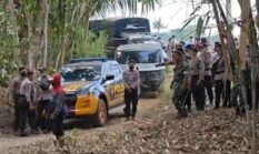 Blokade Jalan Perkebunan, Polres Lumajang dan Brimob Bongkar Patok PT Kalijeruk Baru