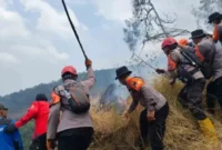 FOTO: Satu satuan setingkat kompi (SSK) gabungan dari Batalyon A Pelopor, Samapta Polda Jawa Timur, Polisi Kehutanan (Polhut), dan relawan saat padamkan api. @by_News9.id