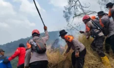 Api Kembali Membesar di Lereng Arjuno