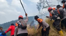 FOTO: Satu satuan setingkat kompi (SSK) gabungan dari Batalyon A Pelopor, Samapta Polda Jawa Timur, Polisi Kehutanan (Polhut), dan relawan saat padamkan api. @by_News9.id