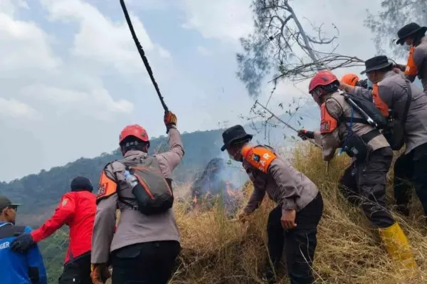 FOTO: Satu satuan setingkat kompi (SSK) gabungan dari Batalyon A Pelopor, Samapta Polda Jawa Timur, Polisi Kehutanan (Polhut), dan relawan saat padamkan api. @by_News9.id