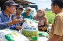 FOTO: (ilustrasi) Penyaluran bantuan benih padi varietas Inpari 33 kepada sejumlah kelompok tani (Poktan) di Kecamatan Ganding, @by_News9.id