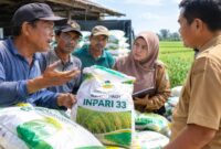 FOTO: (ilustrasi) Penyaluran bantuan benih padi varietas Inpari 33 kepada sejumlah kelompok tani (Poktan) di Kecamatan Ganding, @by_News9.id