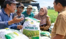 Diduga Ada Selisih 30 Kg Penyaluran Benih Padi Inpari 33 di Ganding, Poktan Minta Penjelasan BPP
